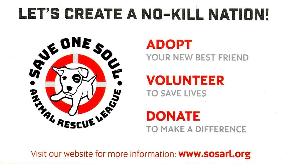 Save One Soul Animal Rescue League